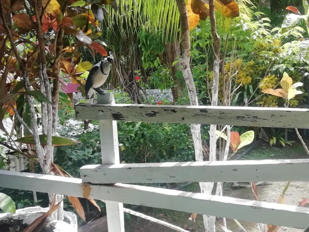 Donde Familia Manito Bed & Breakfast Paquera Exterior photo